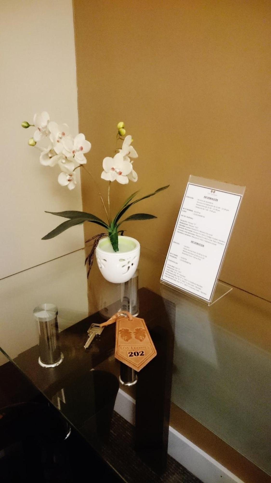 Los Leones Hotel Boutique Yanahuara 部屋 写真